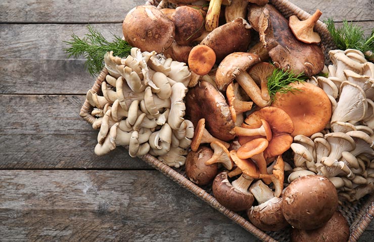 Immunity boosting mushrooms